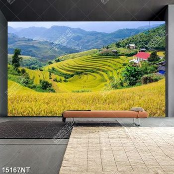 Tranh psd phong cảnh ruộng bậc thang