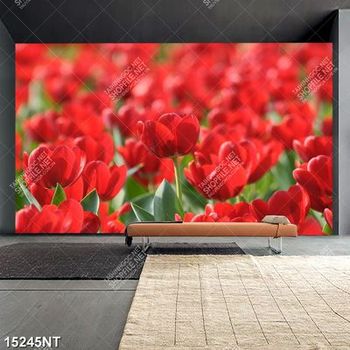Tranh hoa tulip đỏ