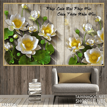 Tranh hoa sen trắng demo