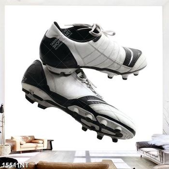 Tranh đôi giày chơi golf