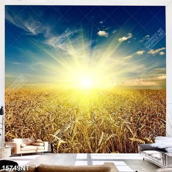 Tranh ánh dương trên cánh đồng lúa mạch