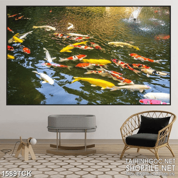 Tranh psd đàn cá koi bơi trên mặt hồ nước trong sơn dầu