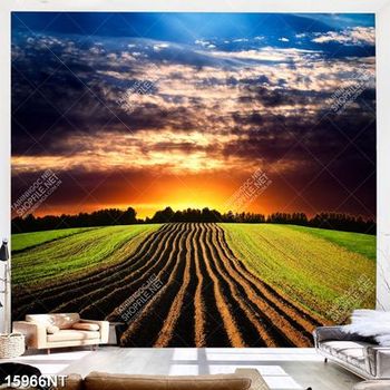 Tranh cánh đồng trổ luống