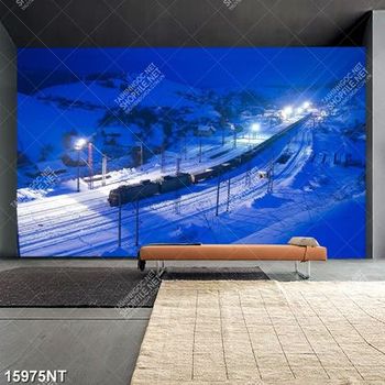 Tranh con đường phủ tuyết trắng xóa