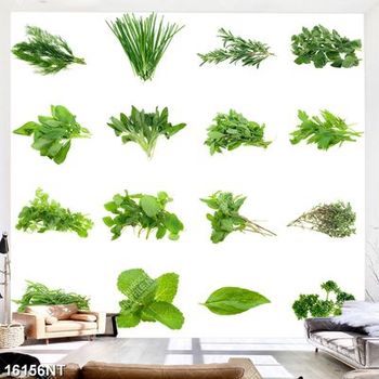 Tranh các loại rau thơm