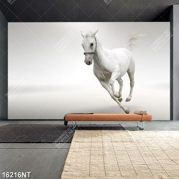 Tranh ngựa trắng