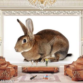 Tranh thỏ xám 16260NT