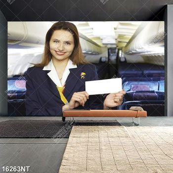 Tranh nữ tiếp viên xinh đẹp 16263NT
