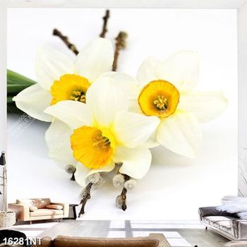 Tranh bông hoa trắng