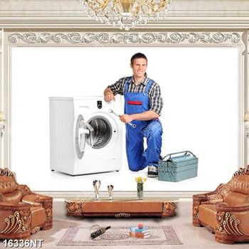 Tranh thợ sửa máy giặt