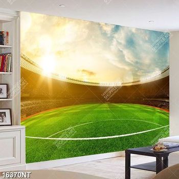 Tranh sân vận động