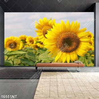 Tranh hoa hướng dương 16551NT