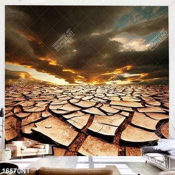 Tranh mặt đất nứt nẻ 16570NT