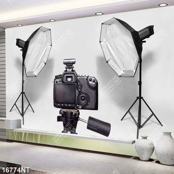 Tranh studio chụp hình