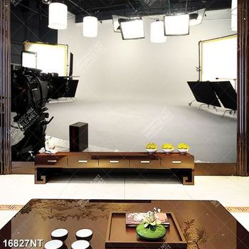 Tranh trường quay