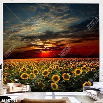 Tranh cánh đồng hoa hướng dương 16937NT