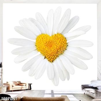 Tranh bông hoa cúc trắng