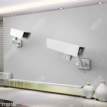 Tranh camera gắn tường