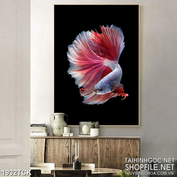 Tranh in dán tường chú cá sim betta xòe đuôi xinh đẹp
