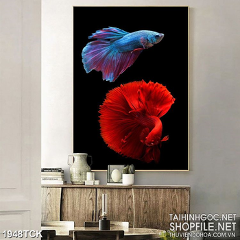 Tranh chiếc đuôi xinh đẹp của cá sim betta in dán tường