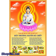 Quan Âm Thương Người