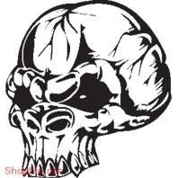 Vector Hình Xăm Decal Đầu Lâu Ấn Tượng