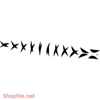 Vector Hình Xăm Thiết Kế Độc Đáo