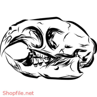 Decal Hình Xăm Vector Thiết Kế Ấn Tượng Độc Đáo