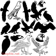 Vector Hình Xăm Decal Thiết Kế Các Loại Chim