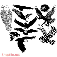 Vector Hình Xăm Decal Thiết Kế Các Loại Chim