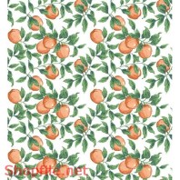 Mẩu pattern in ấn độc đáo