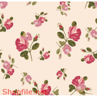 hoa văn họa tiết pattern desing