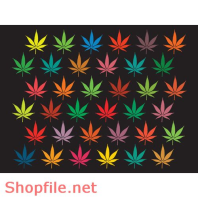 Vector flower đẹp