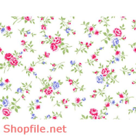 Vector sang trọng màu sắc độc đáo