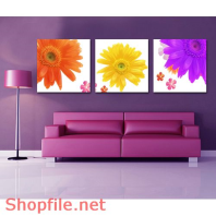 Tranh dán tường hoa cúc