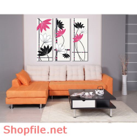 Tranh dán tường hoa đồng tiền