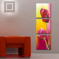 Tranh dán tường hoa tu lip