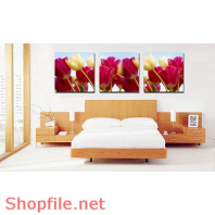 Tranh treo phòng khách hoa tulíp
