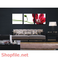 Tranh dán tường hoa phượng