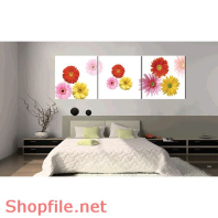 Tranh treo tường hoa đồng tiền