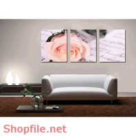 Tranh treo phòng khách hoa hồng