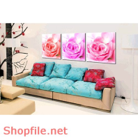 Tranh treo phòng khách hoa cát tường