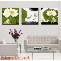 Tranh dán tường hoa sen trắng