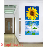 Tranh dán tường hoa mặt trời