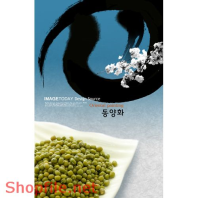 Mẫu Layout Poster Ấm Thực Đậu Xanh