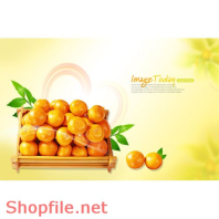 Mẫu Layout Poster Ẩm Thực Trái Quýt