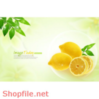 Mẫu Layout Poster Ẩm Thực Trái Chanh