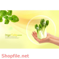 Mẫu Layout Poster Ẩm Thực Rau Cải