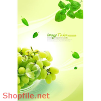 Mẫu Layout Poster Ẩm Thực Trái Cây