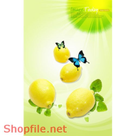 Mẫu Layout Poster Ẩm Thực Trái